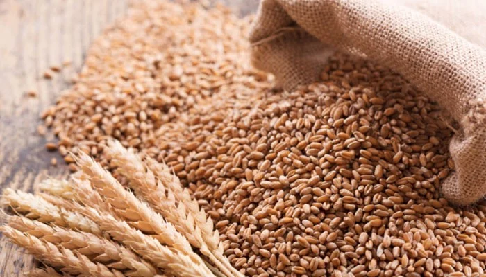 Bulk Wheat Suppliers