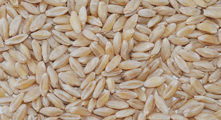 Wholesale Soft Wheat Suppliers