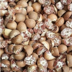 Betel Nut Wholesale