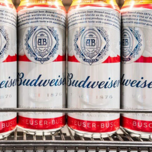 Wholesale Budweiser Beer