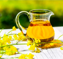 Rapeseed Oil Suppliers