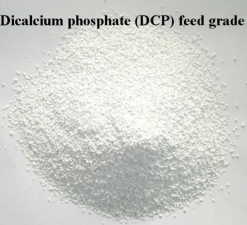 Wholesale Dicalcium Phosphate Supplier