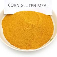 Wholesale Corn Gluten Meal