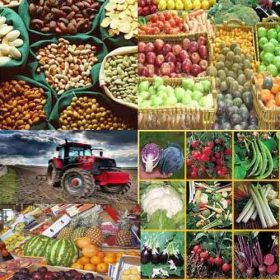 Agriculture